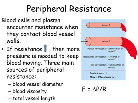 peripheral resistance and blood pressure.